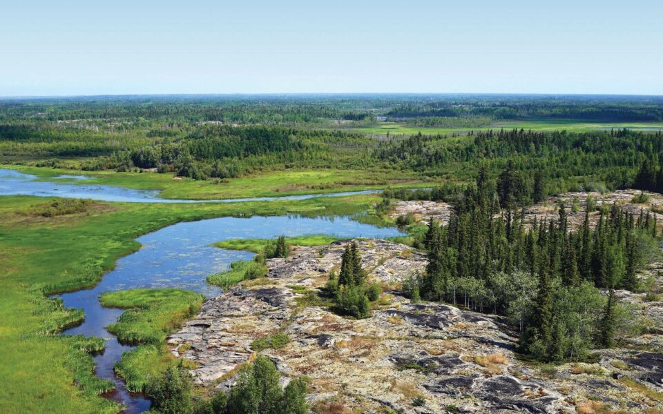 La forêt boréale, vue à vol de canard