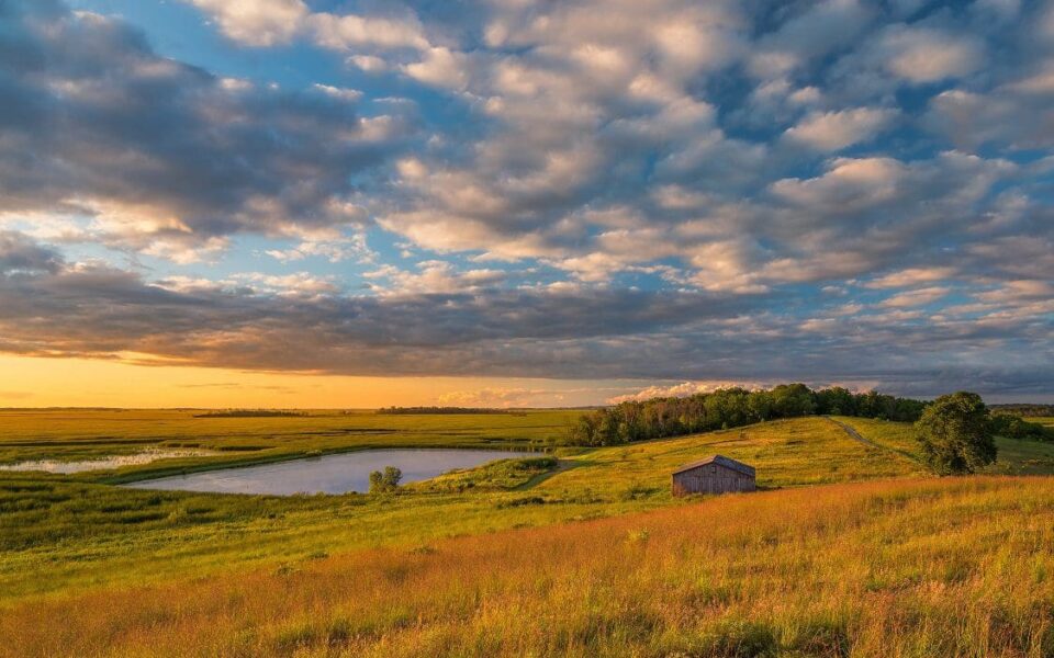 Qu’est-ce qu’une prairie ?