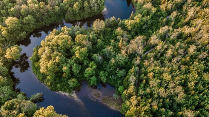 L'écosystème de la rivière Saint-Charles à Québec