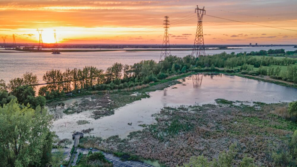 Une collaboration d’envergure entre le gouvernement du Québec et Canards Illimités Canada pour protéger les espèces fauniques en situation précaire  et contribuer à la connectivité écologique