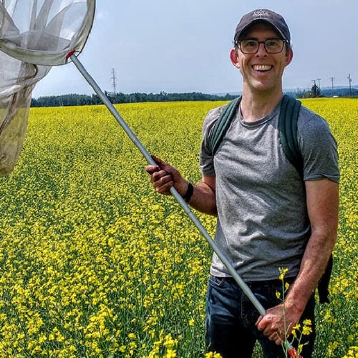 Paul Galpern avec son filet pollinisateur dans un champ de colza
