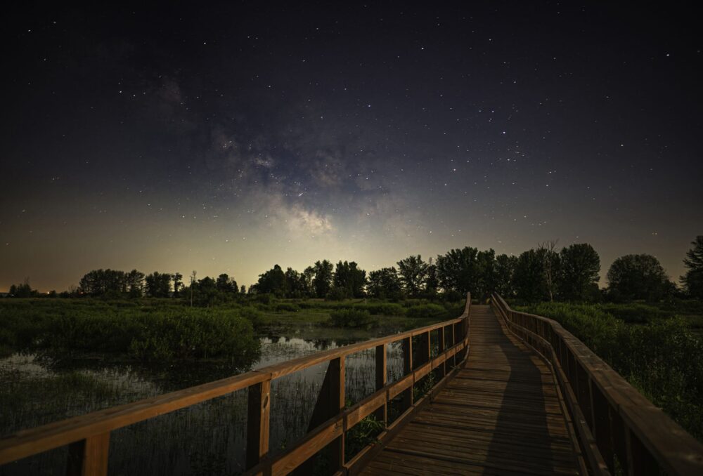 Marais aux Rubaniers, parc national de Plaisance