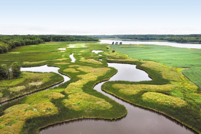 Sur l’île Howe, aujourd’hui, la végétation luxuriante et les eaux libres en surface attirent le poisson et toute une variété d’autres espèces.