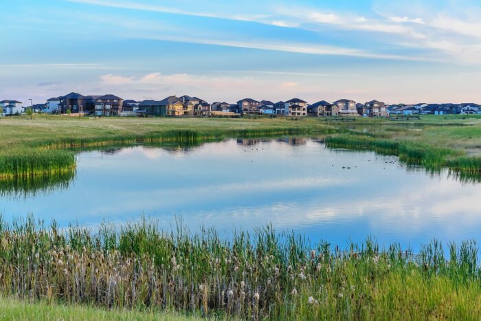 Le milieu humide naturalisé de Saskatoon stimule la biodiversité et la santé écologique de  la communauté. 