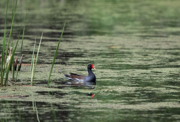 Les 3 meilleurs endroits pour initier ses enfants à la nature