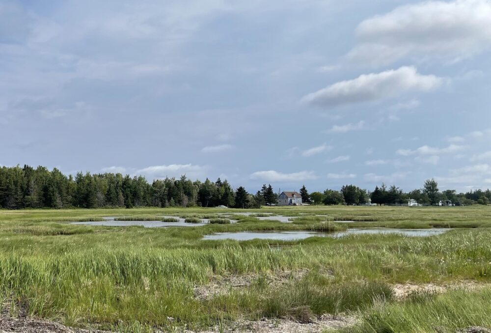 Une rare parcelle de bord de mer sur un littoral très développé près de Village-des-Poirier a été offerte par la famille Jean de la Péninsule acadienne. 