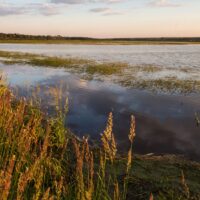 Qu’est-ce qu’un marais salé ?