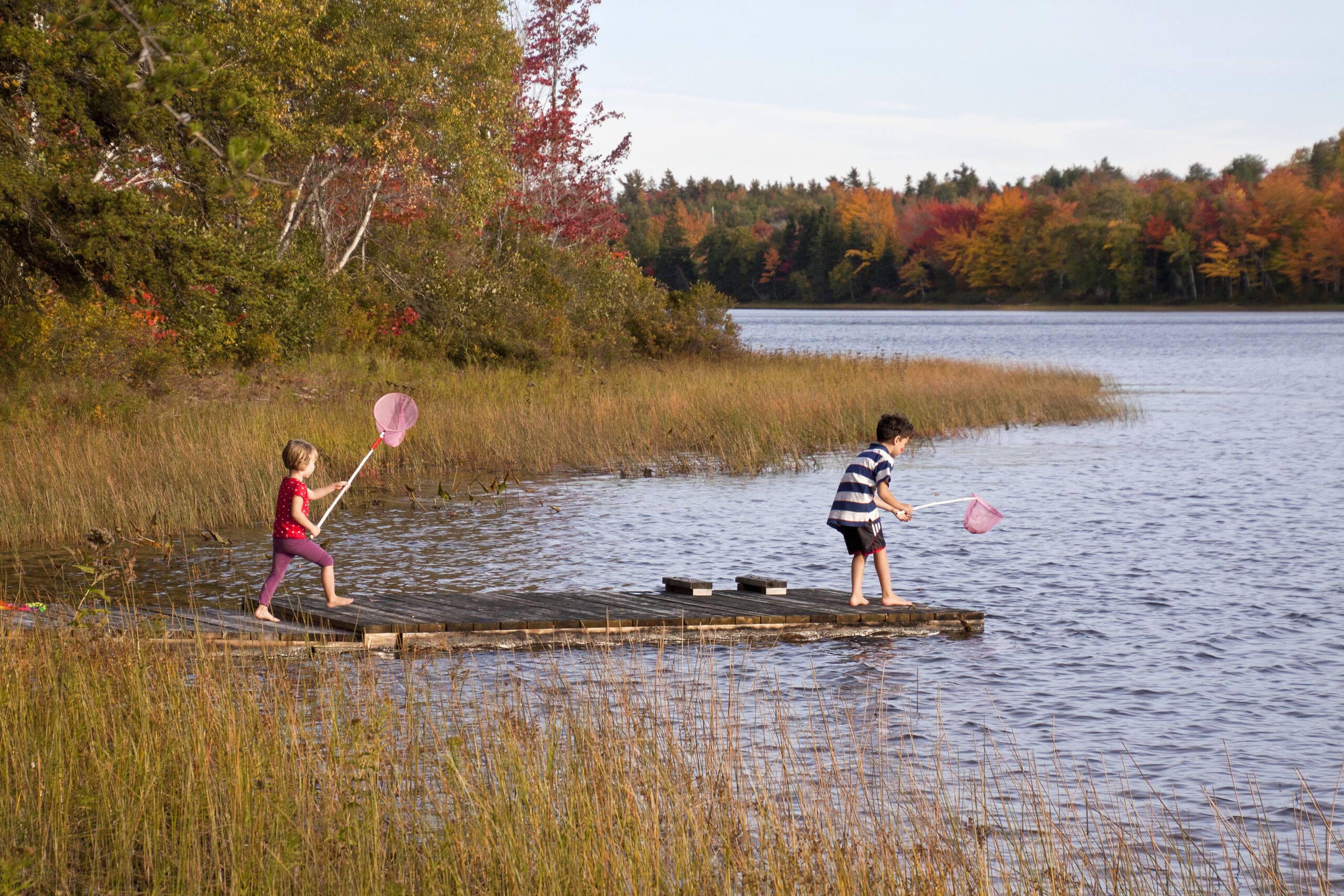 Kids with dipping nets, playing on a dock.