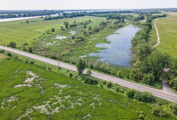 Plus de 30 espèces de poissons auront pleinement accès aux milieux humides de l’île aux Castors