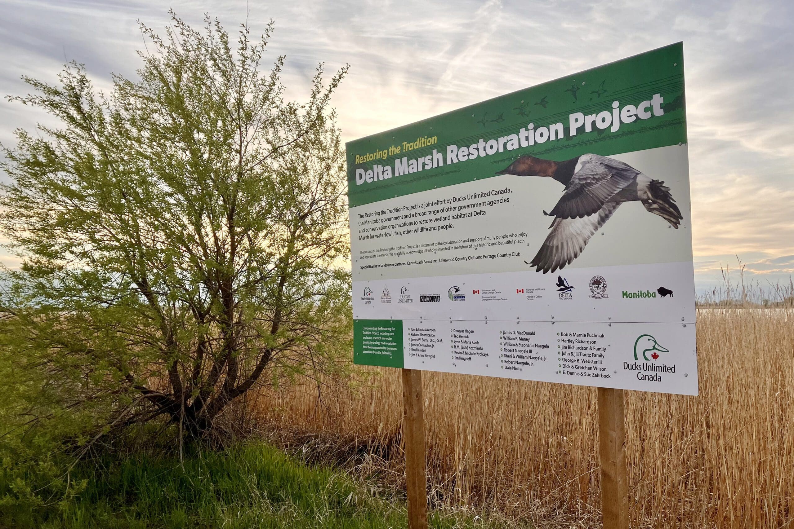 Ducks Unlimited Canada sign on the Delta Marsh