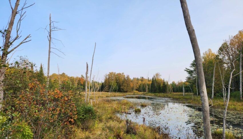 Région de l’Outaouais