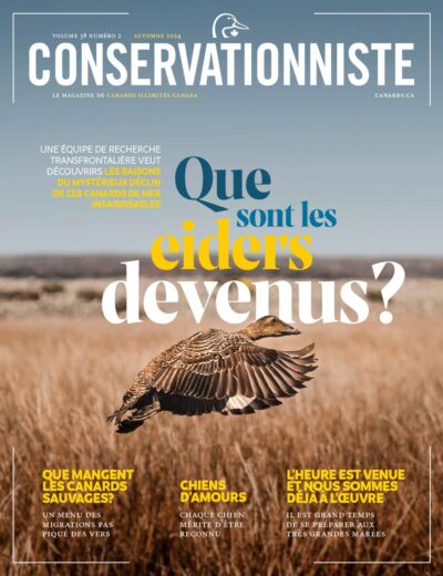 Le Conservationniste