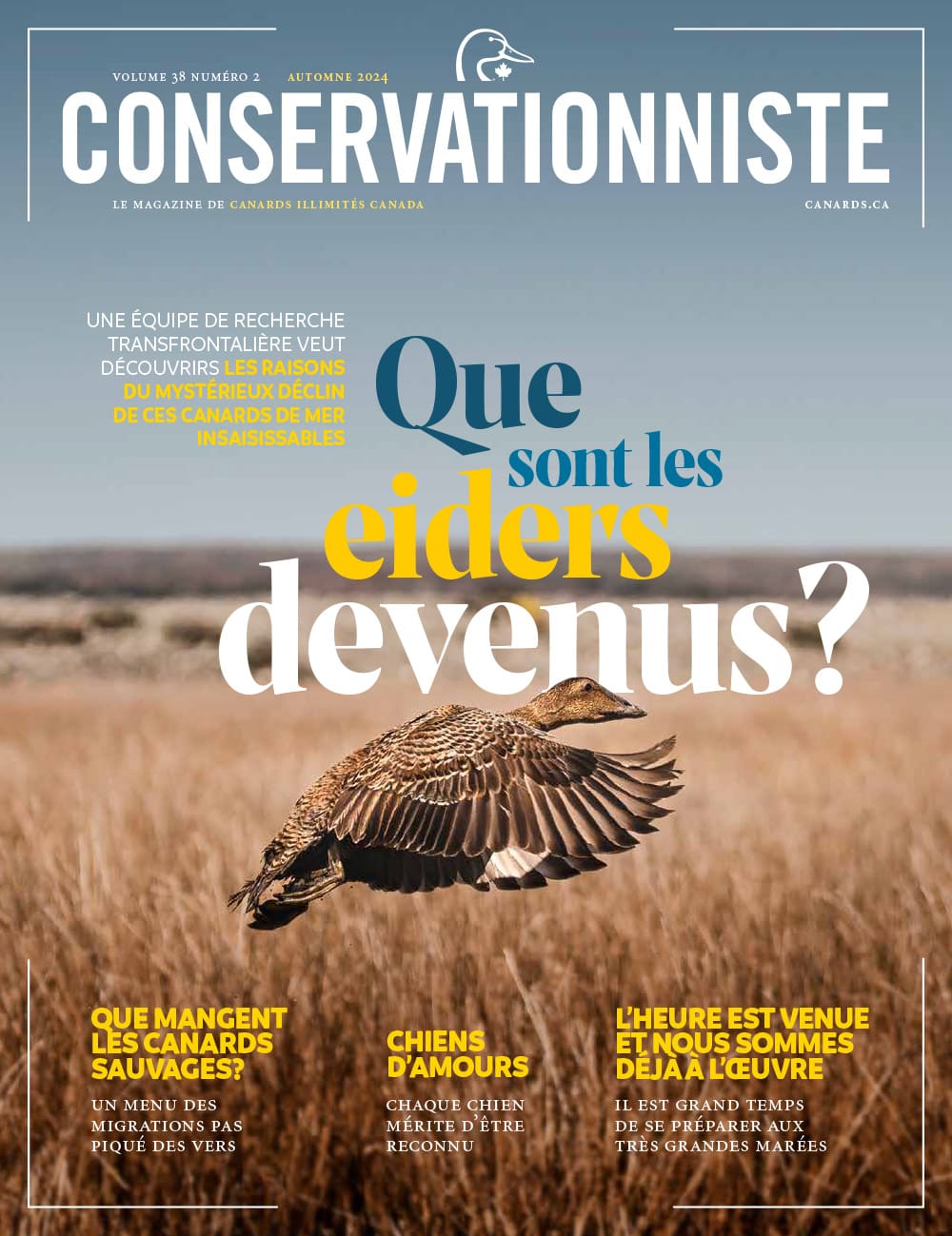 Conservationniste cover