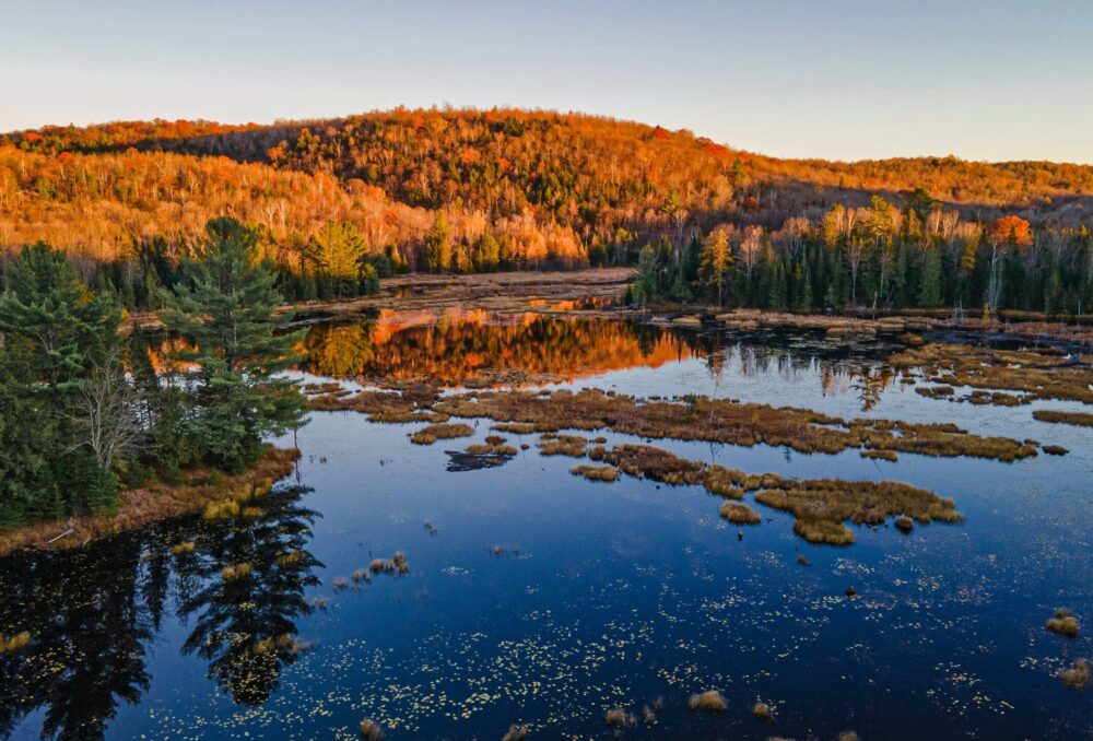 Milieux humides dans la région de l’Outaouais