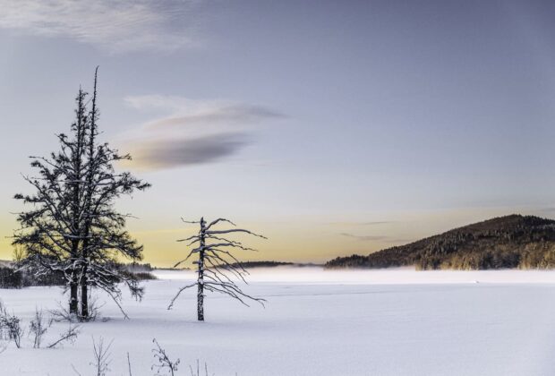 La magie des milieux humides en hiver