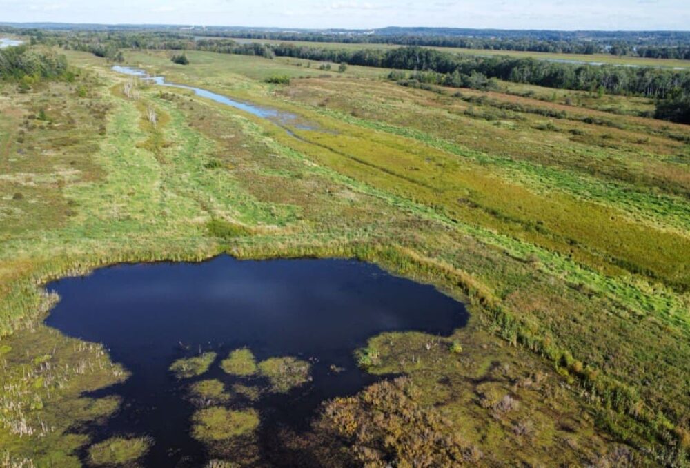 Milieu humide en territoire agricole